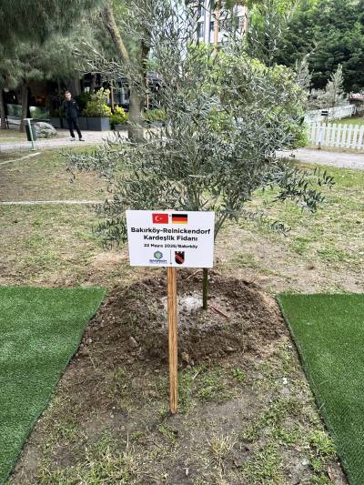 Ein Olivenbaum symbolisiert die wachsende St�dtefreundschaft